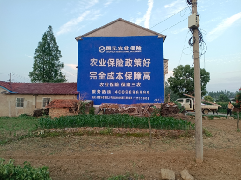 石门墙体广告为何受追捧？